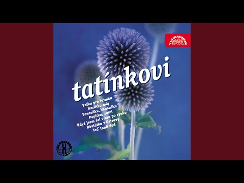 Na Šumavě je dolina. Směs lidových písní (valčíky)