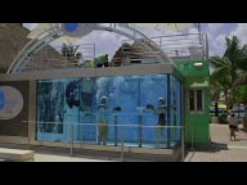 World's first underwater bar opens