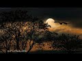 Kahin To Dil Me Yaadon Ki Ek Suli WhatsApp Status