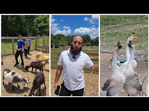 Welcome! To Doodle Farm: A fun family spot with friendly animals and interactive farm experiences!