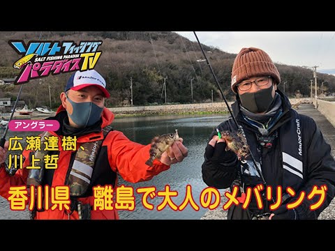香川県　離島で大人のメバリング（ソルパラTV・第83回2022年4月28日放送）