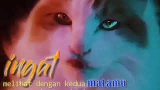 Download lagu viral story wa kucing keren sangar v2. ingat mp3