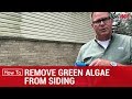 How To Remove Green Algae From Siding - Ace Hardware How To Remove Green Algae From Siding - Ace Hardware