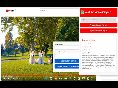 Item video thumbnail