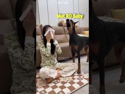 Dog Only Love His Mom 🤣😜