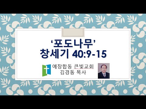 김경동 목사  '포도나무'    창세기 40:9-15