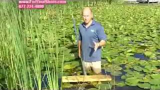 Lily Pad Root Control - Lily Pads Removed By The Root