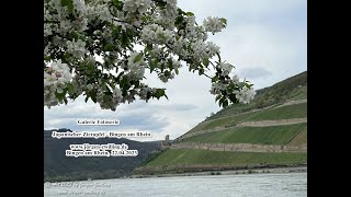 Galerie Fotoserie Japanischer Zierapfel Bingen am Rhein 