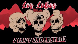 [Los Lobos] I Can&#39;t Understand - Cover by JerBear