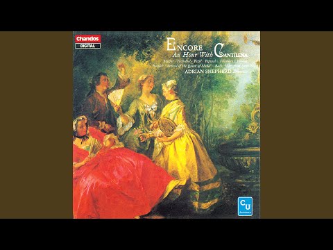 Kammer-Sinfonie in D Minor