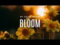 Reggae Beat Instrumental | 2024 | Bloom