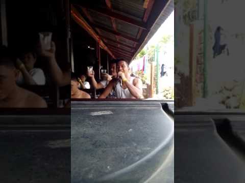 Kung paano upang ugoy pres at mawala ang timbang Ilang beses sa isang araw kailangan mong uminom ng luya para sa pagbaba ng timbang