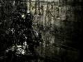 Blut aus Nord - MoRT: Chapter VIII 