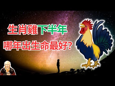 2024屬雞運勢