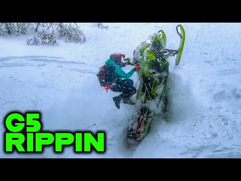 This Thing's Like Cheating