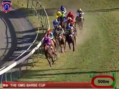 136 - 2014 THE OMG BARBE CUP