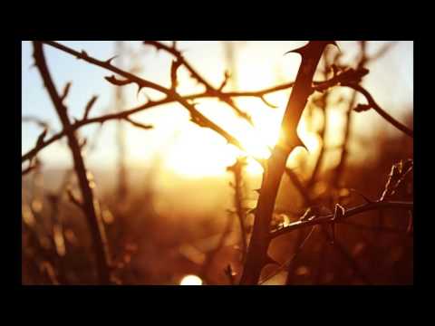 Louane & Quebonafide - Ciernie (Pomios blend)