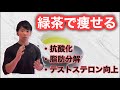 【緑茶】緑茶と脂肪燃焼について。