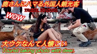 鹿さんにハマる外国人観光客🦌大ウケなんて人懐こい🌸❤️: NARA DEER PARK 🤔! TRAVEL TO NARA