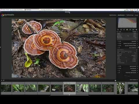 Darktable Photo Editing Time-lapse