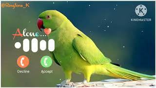 Download lagu Mobile phone ringtone ||Notification Ringtone || SMS Ringtone || Message Ringtone || SMS Sound mp3 Download lagu Mobile phone ringtone ||Notification Ringtone || SMS Ringtone || Message Ringtone || SMS Sound mp3