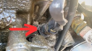 Oil Pressure Switch Ford Escape 3.0L 2008-2012 Location and Replacement