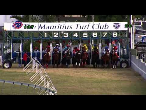 RM18 R7 | Rock Manor | C.Segeon