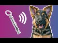 Dog Whistle Sound Ultrasonic Sound For Dogs To React