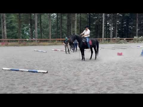 Peter Ellis horse riding at Oregon 💕♥️