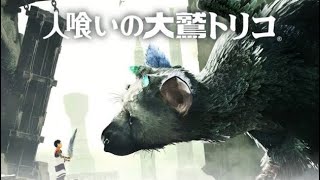 #2 人喰いの大鷲トリコ ～トリコ、野生化～【女性実況】