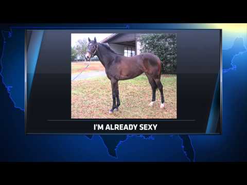 download lagu mp3 mp4 Anna Seitz, download lagu Anna Seitz gratis, unduh video klip Anna Seitz