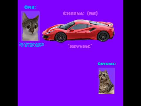 CAT MEMES 🐱 Crystal asks Omz to stand at the parking lot for 20 seconds but he got pranked