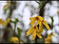 Mary Chapin Carpenter   "A Road is Just a Road"
