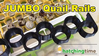 Jumbo Quail Rails / Brunt Workwear  - Reviews