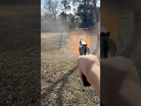 Taurus raging hunter 500 S\u0026W magnum