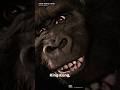 True Kong Fans Will Know KingKong