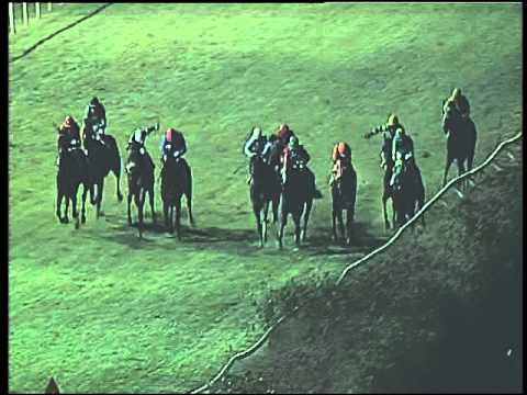 Galoppo 31/01/2016 - 6° corsa