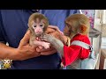 YiYi so excited when grandpa takes baby monkey for a health check up