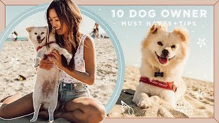 10 Dog Owner MUST HAVES + Tips