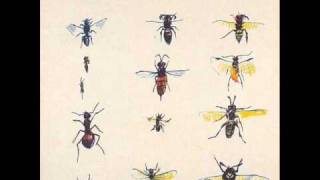 Syd Barrett - Dominoes (Take 2)