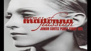 Madonna // Crimes Of Passion (Junior Cortez Punky Funky Mix)