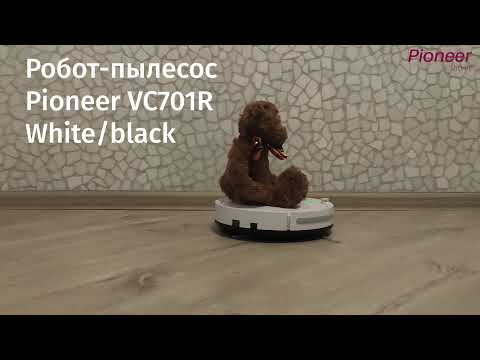 Вертикальный пылесос Pioneer VC453S купить в интернет-магазине по низкой цене