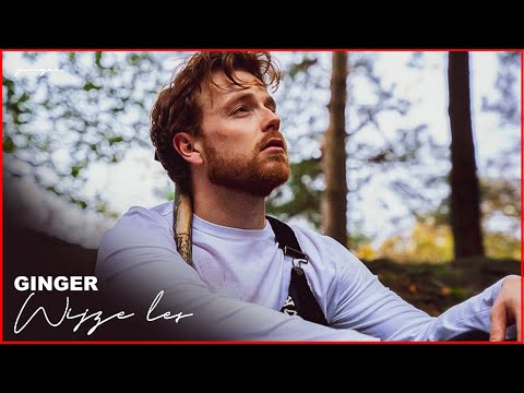 GINGER - WIJZE LES