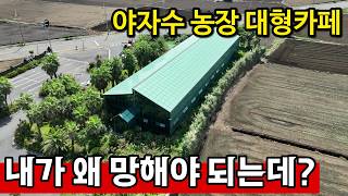 제주 서귀포시 대정읍 송악관광로 투자금 60억 날려먹었다 | 척박한 제주살이 지옥이구나... 영상 썸네일