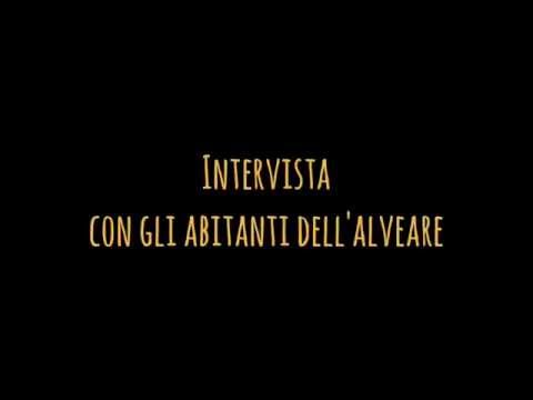 Intervista con gli abitanti dell'alveare