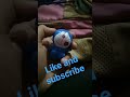 Dore Dore Doreamon