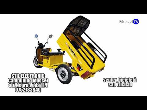 Muscel TV - Continuity - 17.06.2023