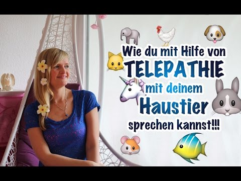 🐱 DEIN HAUSTIER 🐶 - TELEPATHIE  🐇 und  🦄 Seelenverwandtschaft zu deinem Haustier!