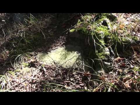 Wanderpfad in Timmendorfer Strand: Räuberkuhle