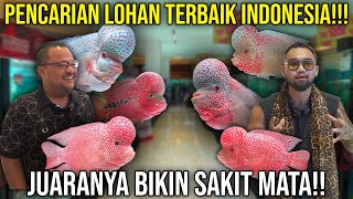 Download lagu PENCARIAN LOHAN TERBAIK INDONESIA!!! JUARANYA BIKIN SAKIT MATA!!! #AudreyA #KINGOFTHEJUNGLE mp3 Download lagu PENCARIAN LOHAN TERBAIK INDONESIA!!! JUARANYA BIKIN SAKIT MATA!!! #AudreyA #KINGOFTHEJUNGLE mp3